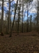 Picture of Rocky Creek - Wilkes County, GA