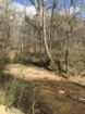 Picture of Rocky Creek - Wilkes County, GA