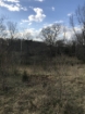 Picture of Rocky Creek - Wilkes County, GA