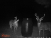 Picture of Petrey Farms - Crenshaw County, AL