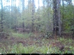 Picture of Beaverdam Farm North - Wilkes County, GA