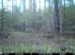Picture of Beaverdam Farm North - Wilkes County, GA