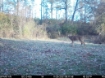 Picture of Beaverdam Farm North - Wilkes County, GA