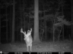 Picture of Beaverdam Farm North - Wilkes County, GA