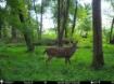 Picture of Beaverdam Farm North - Wilkes County, GA