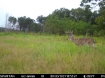 Picture of Snell-Clark Creek - Wilkes County, GA